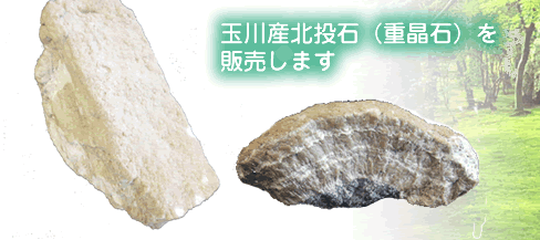 �k���΂�̔����܂��B